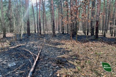 На Черкащині гасили дві пожежі у лісах, спричинені російськими обстрілами На Черкащині гасили дві пожежі у лісах, спричинені російськими обстрілами