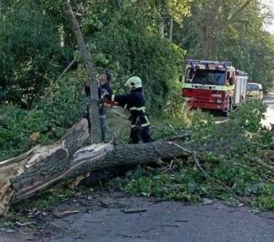 Через негоду на Житомирщині без електрики залишилися 56 населених пунктів Через негоду на Житомирщині без електрики залишилися 56 населених пунктів