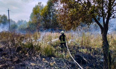 На Черкащині за добу згоріли понад десять гектарів сухостою На Черкащині за добу згоріли понад десять гектарів сухостою
