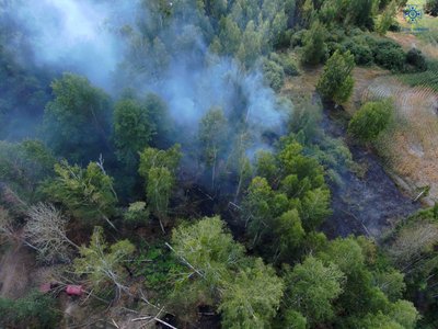 На Київщині вирують пожежі в екосистемах На Київщині вирують пожежі в екосистемах