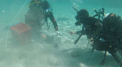 Водолази дістають давньоримські монети 4 століття біля берегів Італії Водолази дістають давньоримські монети 4 століття біля берегів Італії