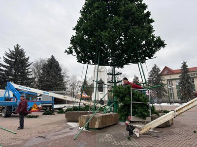 На майдані Незалежності у Стрию встановлюють новорічну ялинку