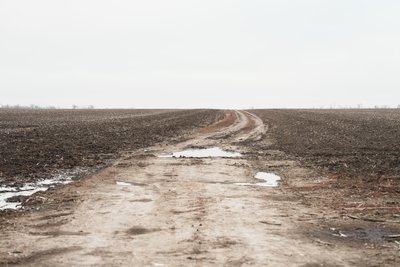 "Забронювали одного": як зміняться правила бронювання для аграріїв "Забронювали одного": як зміняться правила бронювання для аграріїв