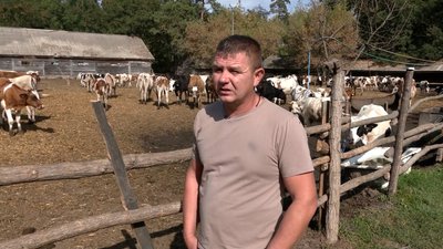 "Перевозили під обстрілами, бо ніхто не хотів їхати забирати ": як евакуювали телят на Чернігівщині "Перевозили під обстрілами, бо ніхто не хотів їхати забирати ": як евакуювали телят на Чернігівщині