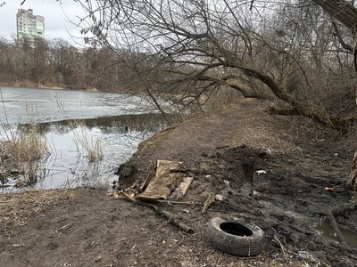 "Десь щось звідкись злили": У Полтаві через забруднення обстежують Пушкарівські ставки "Десь щось звідкись злили": У Полтаві через забруднення обстежують Пушкарівські ставки