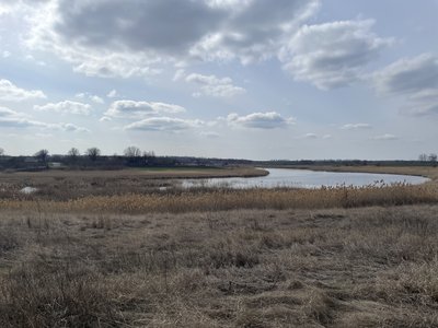 "Скандальне поле": чому фермери на Полтавщині вимушені виорювати берег річки "Скандальне поле": чому фермери на Полтавщині вимушені виорювати берег річки