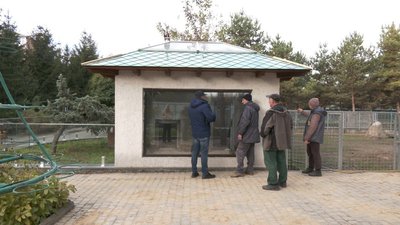 У Вінницю евакуювали дві черепахи зі Сходу У Вінницю евакуювали дві черепахи зі Сходу