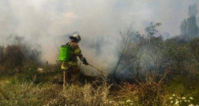 Вигоріло близько п'яти гектарів: на Черкащині за добу сталися дев'ять пожеж на відкритих територіях Вигоріло близько п'яти гектарів: на Черкащині за добу сталися дев'ять пожеж на відкритих територіях