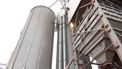 На Черкащині через погодні умови затримується збір кукурудзи На Черкащині через погодні умови затримується збір кукурудзи