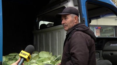 Ціни на капусту в Житомирі: скільки коштує овоч і що вплинуло на подорожчання Ціни на капусту в Житомирі: скільки коштує овоч і що вплинуло на подорожчання