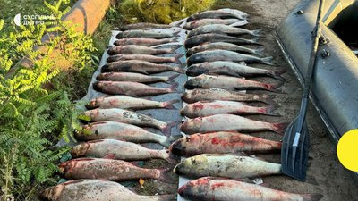 Атака на енергетику, обстріли прифронтових громад, вилучили немовля у матері. Головні новини Дніпра та області 8 жовтня Атака на енергетику, обстріли прифронтових громад, вилучили немовля у матері. Головні новини Дніпра та області 8 жовтня
