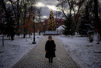 Жінка гуляє біля ялинки в парку Шевченка у Києві 12 грудня 2024 року Жінка гуляє біля ялинки в парку Шевченка у Києві 12 грудня 2024 року
