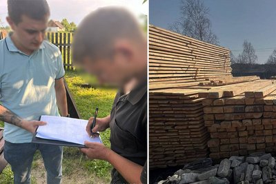 Незаконна вирубка і продаж дерев: на Житомирщині судитимуть членів організованої групи Незаконна вирубка і продаж дерев: на Житомирщині судитимуть членів організованої групи