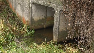 У селі не буде води — в громаді на Житомирщині люди виступають проти розробки доломітового кар'єру У селі не буде води — в громаді на Житомирщині люди виступають проти розробки доломітового кар'єру