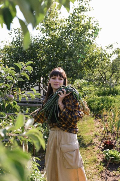 Чому навесні жовтіє цибуля та часник і як врятувати врожай Чому навесні жовтіє цибуля та часник і як врятувати врожай
