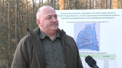 Викорчовувати чи створювати нові ліси: що буде з самозалісненими територіями на Чернігівщині Викорчовувати чи створювати нові ліси: що буде з самозалісненими територіями на Чернігівщині