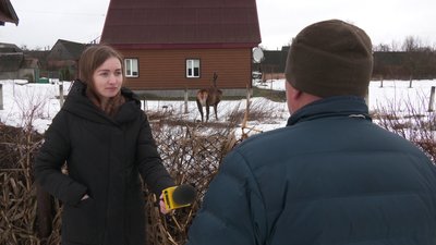 "Воно йому болить": як зимував і скидав роги олень Борис із Зарічного "Воно йому болить": як зимував і скидав роги олень Борис із Зарічного
