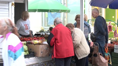 Сезон полуниці: скільки коштує ягода на ринку Черкас Сезон полуниці: скільки коштує ягода на ринку Черкас
