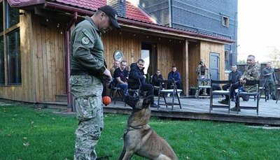 кінолог, собака, реабілітація кінолог, собака, реабілітація