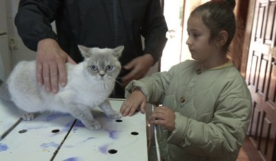 Анастасія Баковська, вакцинація тварин, кішка, Тернопіль Анастасія Баковська, вакцинація тварин, кішка, Тернопіль