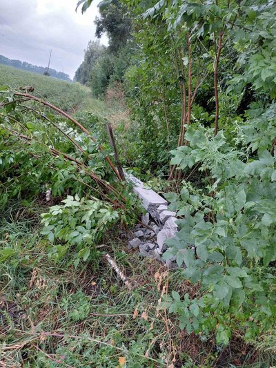 Негода на Житомирщині: пошкодження в електромережах області, повалені дерева, стовпи Негода на Житомирщині: пошкодження в електромережах області, повалені дерева, стовпи