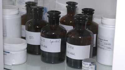 Навчатимуть виділяти ДНК та створювати косметику: у Львові відкриють біолабораторію Навчатимуть виділяти ДНК та створювати косметику: у Львові відкриють біолабораторію