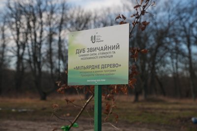 "Дуб буде символізувати нашу стійкість": скільки дерев посаджено в межах програми "Зелена країна" на Сумщині "Дуб буде символізувати нашу стійкість": скільки дерев посаджено в межах програми "Зелена країна" на Сумщині