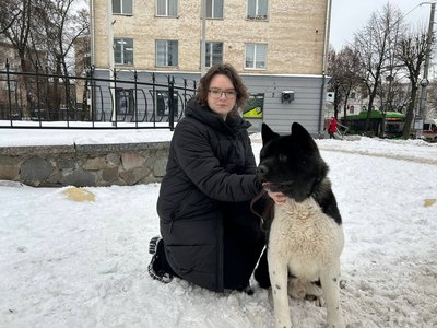 Як піщано-соляна суміш впливає на лапи собак: досвід ветеринарів і власників Як піщано-соляна суміш впливає на лапи собак: досвід ветеринарів і власників