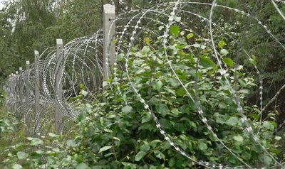 Як бійці дев'ятого прикордонного загону охороняють кордон Рівненщини з Республікою Білорусь