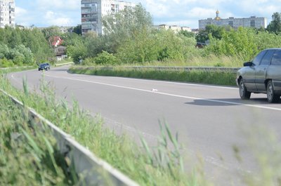 Крючок річковий, чернь червонодзьоба і вперше мартин малий: на Здобунівських ставах на Рівненщині облікували птахів Крючок річковий, чернь червонодзьоба і вперше мартин малий: на Здобунівських ставах на Рівненщині облікували птахів