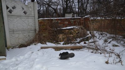 Розділені "бетонкою" й об’єднані обстрілами: як живуть жителі мікрорайонів Півці та Олександрівка у Чернігові Розділені "бетонкою" й об’єднані обстрілами: як живуть жителі мікрорайонів Півці та Олександрівка у Чернігові