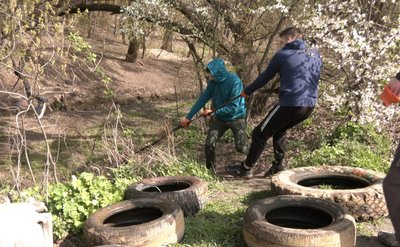 До загальноміської толоки у Луцьку долучилися майже 1200 людей До загальноміської толоки у Луцьку долучилися майже 1200 людей