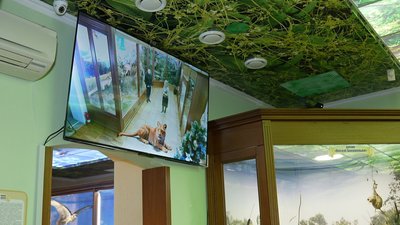 У Кропивницькому працює єдине в Україні дзеркало доповненої реальності У Кропивницькому працює єдине в Україні дзеркало доповненої реальності