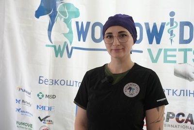 Херсон, ветеринарка, Ольга Бойко Херсон, ветеринарка, Ольга Бойко