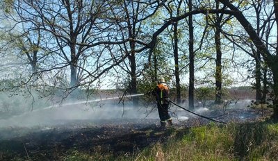 На Черкащині за добу згоріло 11 гектарів сухої трави та очерету На Черкащині за добу згоріло 11 гектарів сухої трави та очерету