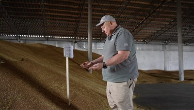 Експорт зерна на паузі: чи зазнають збитків аграрії Черкащини