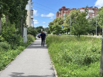 "Скоро вище мене буде": чому в Полтаві не встигають косити траву