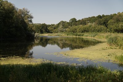 "Вода чорна, підійти неможливо": Мешканці Путивля на Сумщині про забруднення р.Сейм "Вода чорна, підійти неможливо": Мешканці Путивля на Сумщині про забруднення р.Сейм