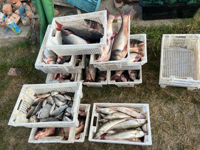 На Одещині затримали браконьєра з уловом на 400 тисяч гривень На Одещині затримали браконьєра з уловом на 400 тисяч гривень