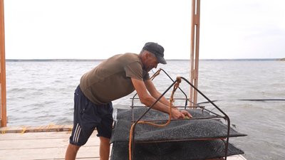 Пляжі, намети та устриці: що пропонує відпочивальникам Тилігульський лиман Пляжі, намети та устриці: що пропонує відпочивальникам Тилігульський лиман