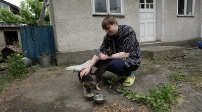 Віталій Кушнірик в Оршівцях годує собак Віталій Кушнірик в Оршівцях годує собак