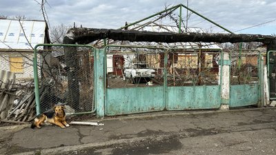 Миколаївка Донецька область пошкоджений російськими обстрілами будинок 29 січня 2025 рік Миколаївка Донецька область пошкоджений російськими обстрілами будинок 29 січня 2025 рік