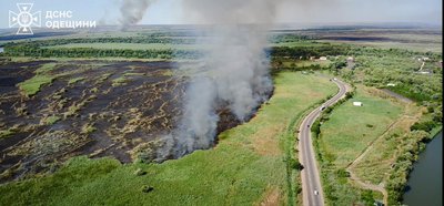 На Одещині понад добу палає очерет в екосистемі: масштаб пожежі