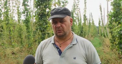 Агроном-хмеляр Олександр Кривий Агроном-хмеляр Олександр Кривий