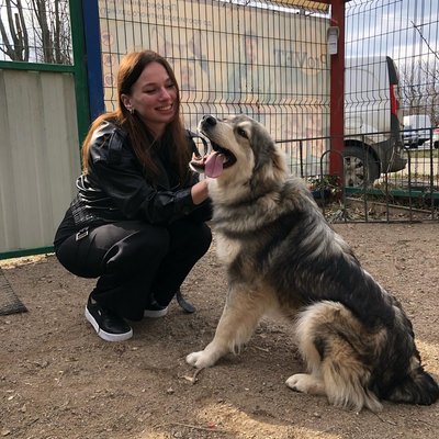 Одеський військовий, який врятував на фронті собаку, забрав його додому Одеський військовий, який врятував на фронті собаку, забрав його додому