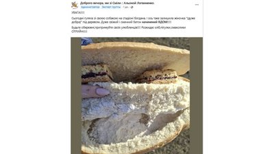 У Смілі на Черкащині місцева жителька заявила про масове отруєння собак — поліція почала перевірку У Смілі на Черкащині місцева жителька заявила про масове отруєння собак — поліція почала перевірку
