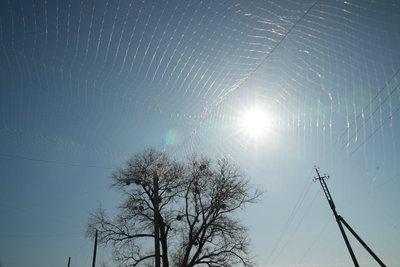 У Сумах планують частково накрити дороги антидроновими сітками