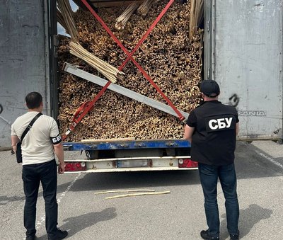 На Львівщині підприємицю підозрюють у контрабанді деревини в ЄС та в На Львівщині підприємицю підозрюють у контрабанді деревини в ЄС та в