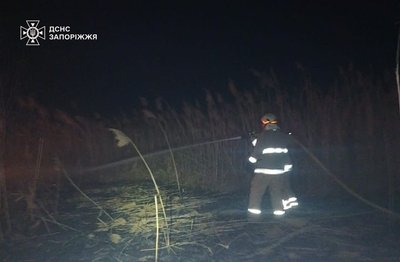 У Запорізькій області на відкритих територіях сталося дев'ять пожеж — ДСНС У Запорізькій області на відкритих територіях сталося дев'ять пожеж — ДСНС