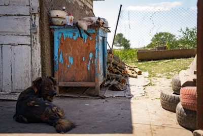 "Тільки собака в будку – одразу приліт". Історія жительки селища на Херсонщині, яка пережила окупацію "Тільки собака в будку – одразу приліт". Історія жительки селища на Херсонщині, яка пережила окупацію